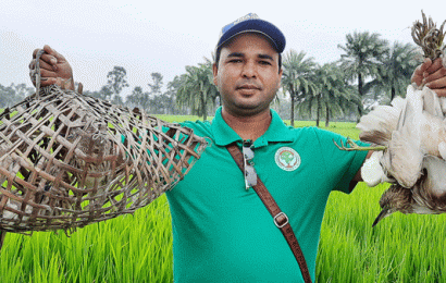 নতুন জীবন পেল চলনবিলের ১৫ বক পাখি