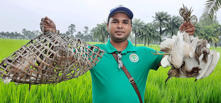 নতুন জীবন পেল চলনবিলের ১৫ বক পাখি