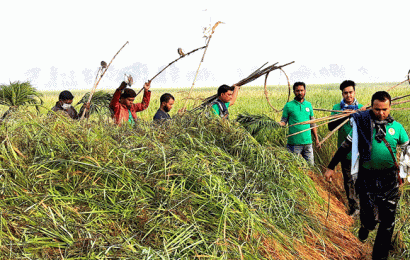 চলনবিলের ২০ বক ফিরে গেল নিড়ে