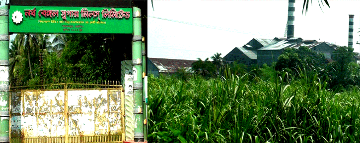 নর্থ বেঙ্গল সুগার মিলের ১০ একর জমির আখ পুড়ে গেছে