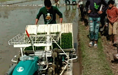 লালপুরে ‘রাইস ট্রান্সপ্লান্টার’ মেশিনে চারা রোপন