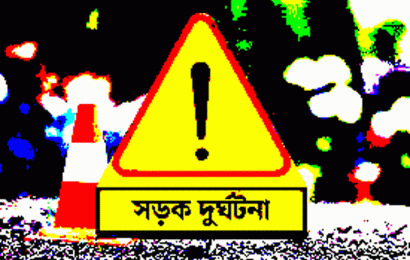 নছিমনের ধাক্কায় কৃষক নিহত