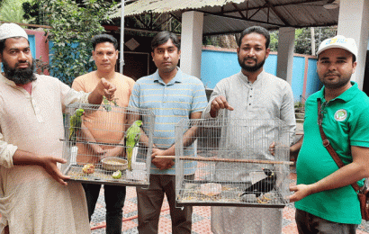 সিংড়ায় ক্রেতা সেজে পাখি বিক্রেতা আটক!