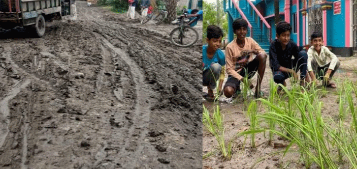 পাকা সড়কে মাটির প্রলেপ! ধান লাগিয়ে প্রতিবাদ