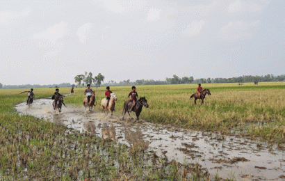 গ্রামীণ ঐতিহ্য ঘোড়দৌড়!