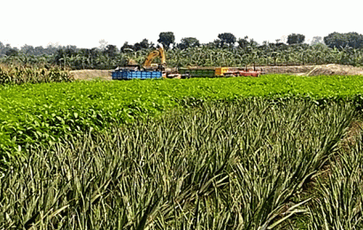 পুকুর গিলে খাচ্ছে ঔষধি গ্রাম!