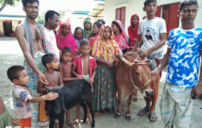 নাটোরে প্রধানমন্ত্রীর নামে পশু কুরবাণী দিবে ৫২ ভুমিহীন পরিবার