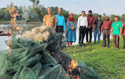 সিংড়ায় পোড়ানো হলো ৫ লক্ষাধিক টাকার অবৈধ জাল