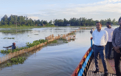 চলনবিলের ২ হাজার মিটার অবৈধ বানার বেড়া অপসারণ