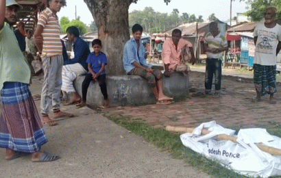 নলডাঙ্গায় ট্রেনে কাটা পরে প্রতিবন্ধি নারী নিহত