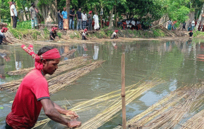 পাটের আঁশ ছাড়ানো প্রতিযোগিতা