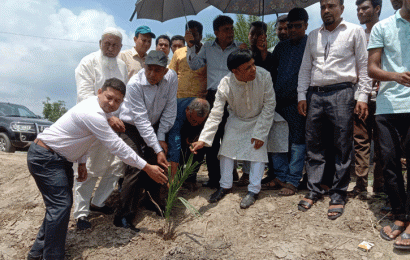 লালপুরে খেজুর গাছের চারা রোপন কর্মসূচির উদ্বোধন