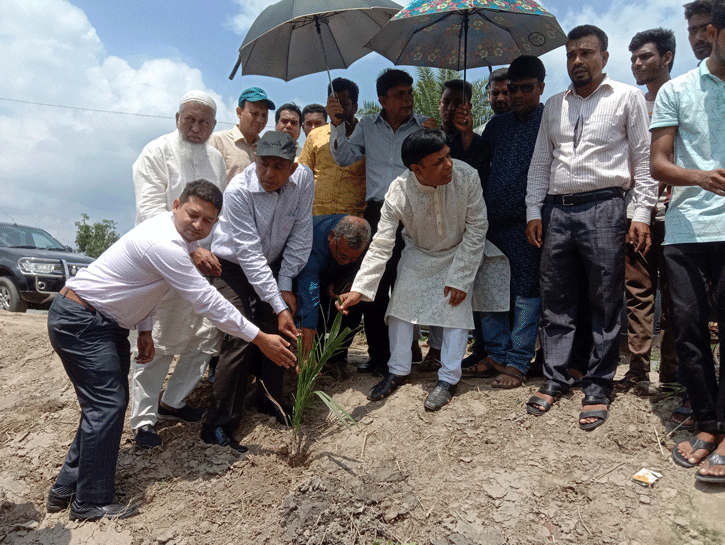 লালপুরে খেজুর গাছের চারা রোপন কর্মসূচির উদ্বোধন