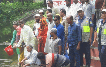 উত্তরা গণভবন জলাশয়ে মাছের পোনা অবমুক্ত