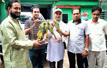 ৪টিয়া পাখি উড়ে গেল মুক্ত আকাশে