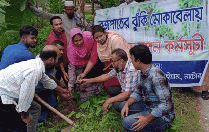 তাল বীজ রোপন