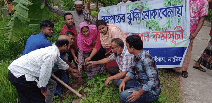 তাল বীজ রোপন