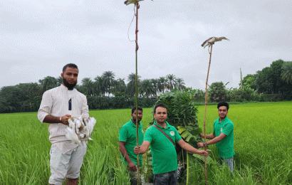 বন্দি ১৫ বক পাখি উড়লো আকাশে ॥ কিশোর পাখি শিকারী অভিভাবকের জিম্মায়