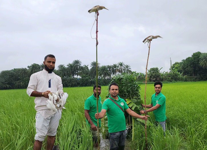 বন্দি ১৫ বক পাখি উড়লো আকাশে ॥ কিশোর পাখি শিকারী অভিভাবকের জিম্মায়