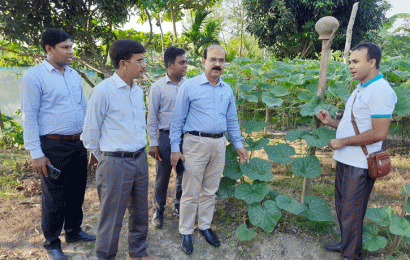 সিংড়ায় সাংবাদিকের বিষমুক্ত সবজি বাগান পরিদর্শনে কৃষি কর্মকর্তা