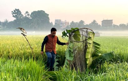 শিকারীর ফাঁদ থেকে ২৫ বক উদ্ধার