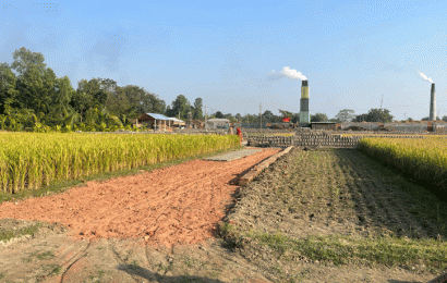 কৃষকের জমি দখল করে প্রভাবশালীর রাস্তা নির্মাণ