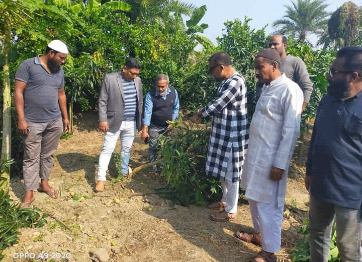 লালপুরে গৌরমতি আমসহ ৪৫০টি ফলের গাছ কেটেছে দুর্বৃত্ত লালপুরে গৌরমতি আমসহ ৪৫০টি ফলের গাছ কেটেছে দুর্বৃত্ত