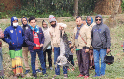 সিংড়ায় গুলিবিদ্ধ পাখি উদ্ধার