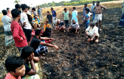 অর্সতকতায় পুড়ে গেছে ৩৬ বিঘা জমির পাকা গম