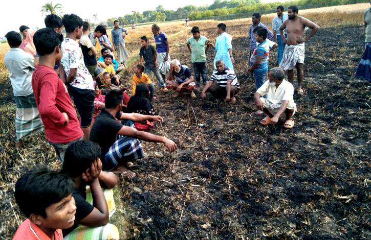অর্সতকতায় পুড়ে গেছে ৩৬ বিঘা জমির পাকা গম