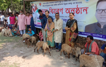 লালপুরে ক্ষুদ্র নৃ গোষ্ঠী সম্প্রদায়ের মাঝে ভেড়া ও অনুদানের চেক বিতরণ