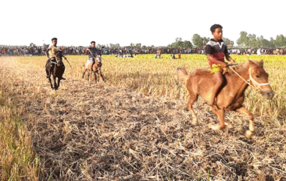 সিংড়ায় ঘৌড়দৌড় প্রতিযোগিতা