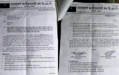 লালপুরে উপজেলা বিএনপির আহবায়ক ও সদস্য সচিবকে শোকজ