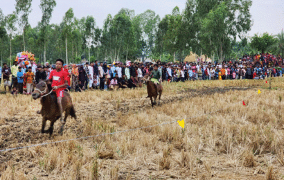 বিন গ্রামের ঘোড়া দৌড়