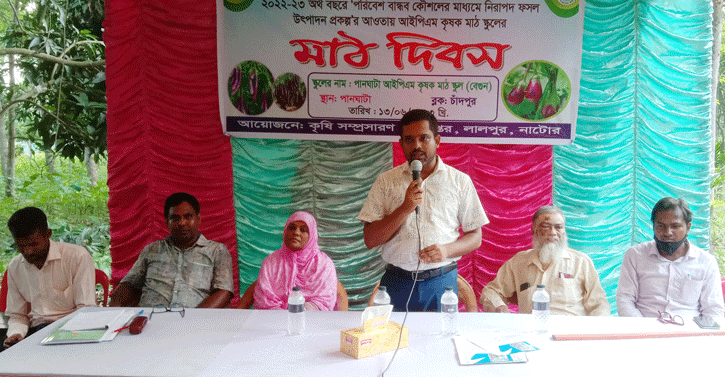 লালপুরে পরিবেশ বান্ধব নিরাপদ ফসল উৎপদনে মাঠ দিবস
