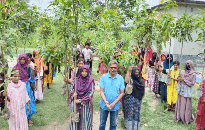 লালপুরে বৃক্ষরোপন ও রচনা প্রতিযোগিতা