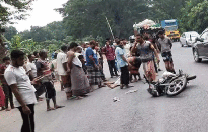 বড়াইগ্রামে বাস চাপায় বিসিআইসি সার ব্যবসায়ী নিহত