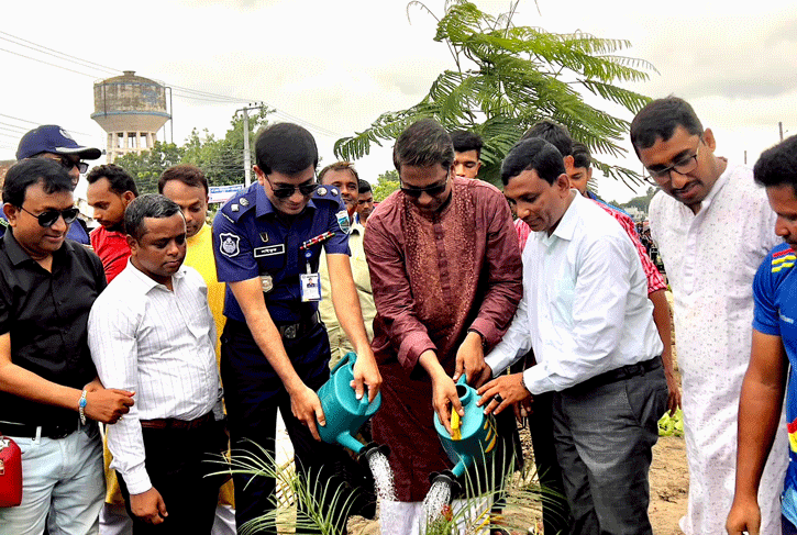 সবুজ নগরী হবে নাটোর! সবুজ নগরী হবে নাটোর!