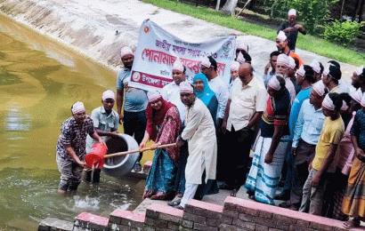 বাগাতিপাড়ায় মৎস্য সপ্তাহে মাছের পোনা অবমুক্ত