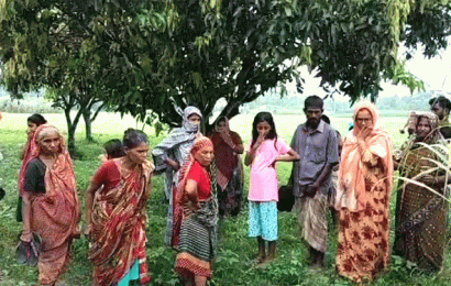  মরদেহ পড়ে ছিল ফসলি জমিতে