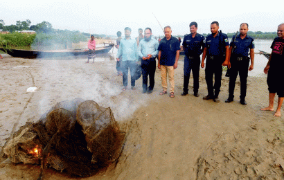 লালপুরে ৯০টি অবৈধ চায়না দুয়ারি জাল ধ্বংস