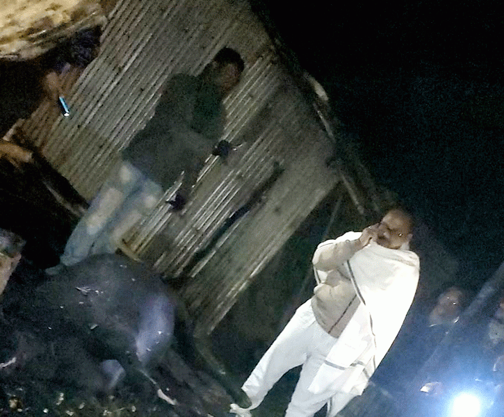 লালপুরে মশা তাড়ানো আগুনে পুড়ে দুই গরুর মৃত্যু