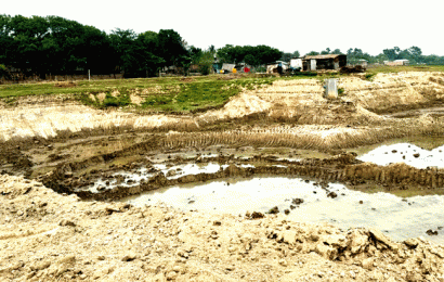 পদ্মানদী থেকে অবৈধভাবে বালু উত্তোলন থামছে না