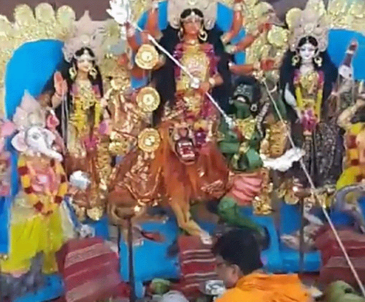 বাগাতিপাড়ায় প্রথমবার অনুষ্ঠিত হলো বাসন্তী পুজা