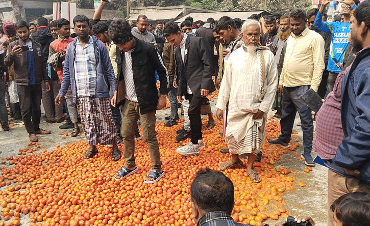 মহাসড়কে টমেটো ফেলে চাষীদের প্রতিবাদ;বর্ধিত ভ্যাট ও শুল্ক প্রত্যাহারের দাবি