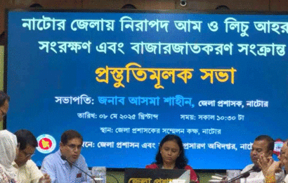 ১৫ মে থেকে নাটোরের বাজারে আসছে আম ও লিচু
